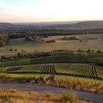 Profile Picture of Michael Bruce (@michaelrattenschwanzpopel) on Instagram