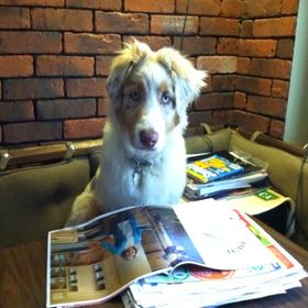 Profile Picture of Cathy Grimaldi (@cathygrimaldi) on Pinterest