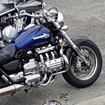 Profile Picture of Martin Rohr (@martin_nz) on Instagram