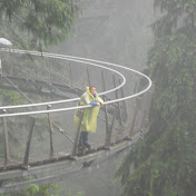 Profile Picture of Allan Foster (@fujiball12) on Youtube