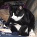 Profile Picture of Thomas Wright (@thomas.wright.77736) on Facebook
