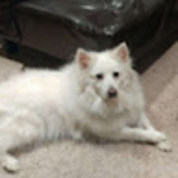 Profile Picture of David Griffith (@griffithd2002) on Poshmark