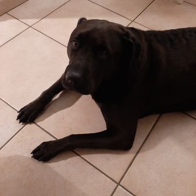 Profile Picture of Alex Dupuis (@alexdup98104459) on Twitter