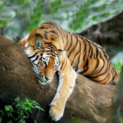 Profile Picture of John Mitcheltree (@johmitch53) on Twitter