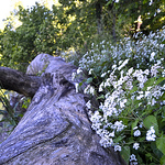 Profile Picture of Dalton Joe Brown (@dalton joe brown) on Flickr