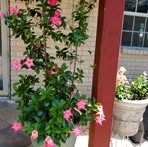 Profile Picture of Isabel Luera (@isabel.luera.33) on Facebook