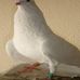 Profile Picture of David Sixto (@david.sixto.18) on Facebook