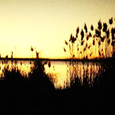 Sandra Schofield - Twitter Profile Picture of Sandra Schofield (@SandySchofiel6) on Twitter