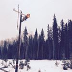 Profile Picture of David Dermody (@dermo85) on Instagram