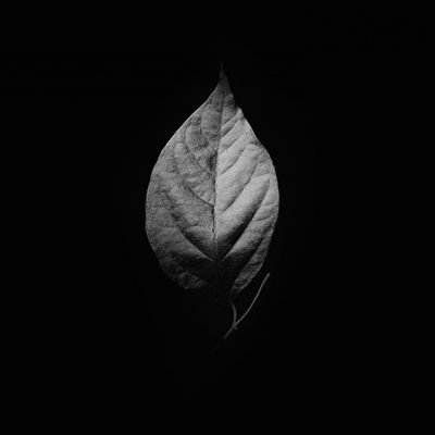 Profile Picture of 曾逸虬 Simon Zeng (@SimonZeng2) on Twitter