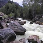 Terry Lambright - Instagram Profile Picture of Terry Lambright (@terryllambright) on Instagram