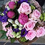 Profile Picture of Daniela_beggio (@daniela_beggio) on Instagram