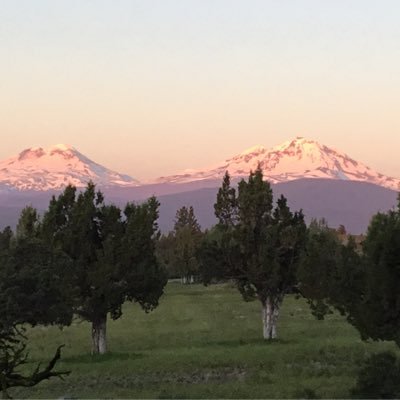 Profile Picture of Matt Greenlaw (@hckydirector) on Twitter