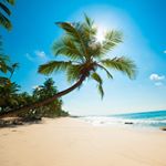 Profile Picture of Joseph Gallardo (@joeysteak08) on Instagram