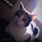 Profile Picture of Bryce (@bryce.morrow_) on Instagram