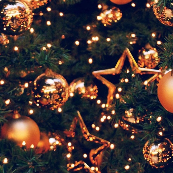 Profile Picture of Alexis Havener (@lexihavener0) on Poshmark