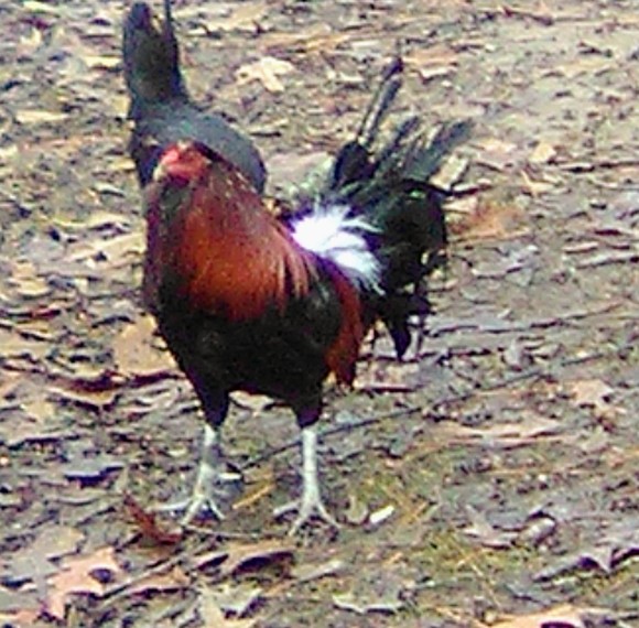 Profile Picture of Sam Mccure (@sammccure) on Poshmark