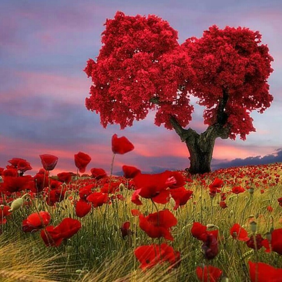 Profile Picture of Kim Hoskins (@fattabulous) on Poshmark