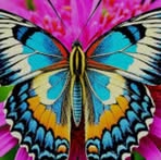 Profile Picture of Cassandra Has (@Cassandra-Has) on Facebook