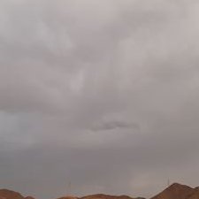 Profile Picture of نور العلم (@RIqa7E04QjKrecl) on Twitter