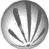 Profile Picture of Kevin Timothy (@433677668) on Myspace