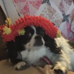 Profile Picture of Scott Gray (@scottgray2359) on Instagram