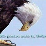 Profile Picture of Patricia Rivadeneira (@pasrivadeneira) on Instagram