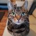 Profile Picture of Honey Winter (@honey.winter.102) on Facebook