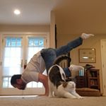 Profile Photo of Michael Boshears ◇ Yoga ☆ Cats (@yogi.bobo) on Instagram