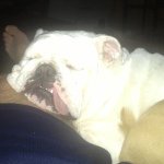 Profile Picture of Jonathan Strahan (@jdstrahan) on Instagram