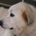 Profile Picture of Adam P Germek (@Adam-P-Germek) on Facebook