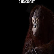 Profile Picture of SOROK (@SOROK1218) on Youtube