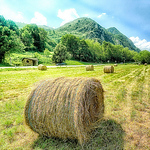 Profile Picture of %u963F%u8CD3 (@chen huang pin) on Flickr