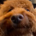 Profile Picture of Aaron Bacon (@bacon4072) on Instagram