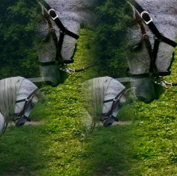 Profile Picture of Dennis Bryant (@dwendellb25) on Poshmark