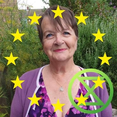 Profile Picture of Lynne Douglas-Gray 💚🌍☮🇪🇺 #3.5% #RejoinEU (@lynnerosie) on Twitter