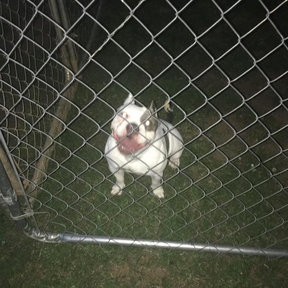 Profile Picture of George Alewine (@george_alewine) on Poshmark