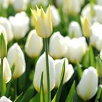 Profile Picture of Danielle Julien (@danielle.julien.357) on Instagram