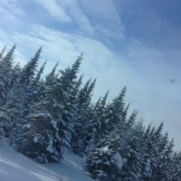 Profile Picture of Julia Thurston (@juliathurston) on Poshmark