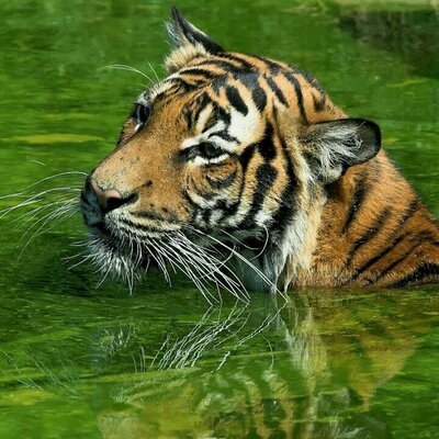 Profile Picture of Samuel Cote (@samcote8) on Twitter