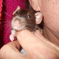 Profile Picture of Toni Engle (@toni-engle) on Quora
