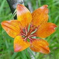 Profile Picture of Eileen Mazurkiewicz (Eileen Owens) (@eileen.mazurkiewicz.5) on Facebook