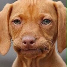 Profile Picture of Alexander Draxler (@alexdraxler81) on Twitter