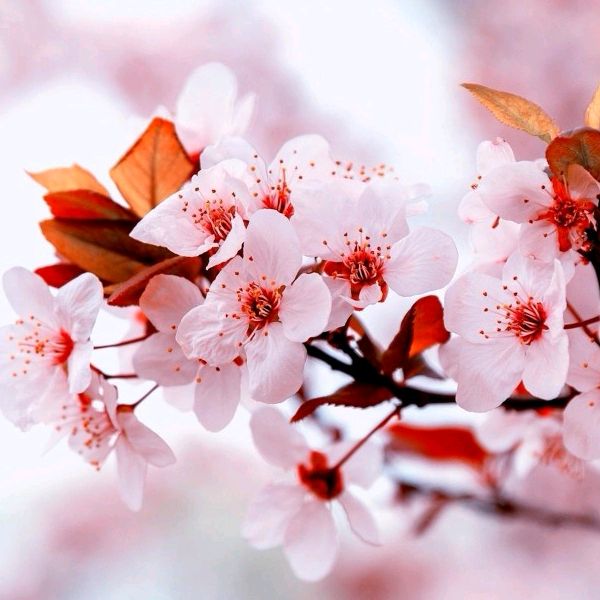 Profile Picture of Barton (@@caoguojian86185414) on Tiktok