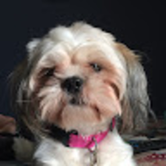 Profile Picture of Monika Chavez (@monika_chavez) on Poshmark