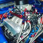 Jason palermo - Instagram Profile Picture of Jason palermo (@jasonpalermo73) on Instagram