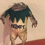 Profile Picture of K3RM1T (@kristian.smart123456) on Instagram