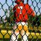 Profile Picture of Dylan Wheeler (@dylan.wheeler.735) on Facebook