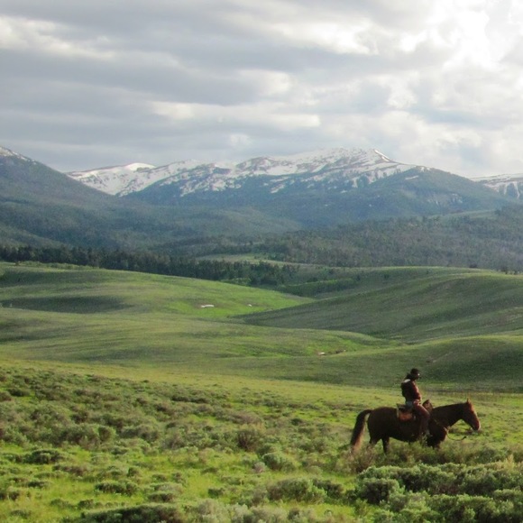 Profile Picture of Marguerite Jodry (@margueritejodry) on Poshmark