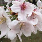 Profile Picture of Timothy Michael Mullinnix (@timson.mux) on Instagram